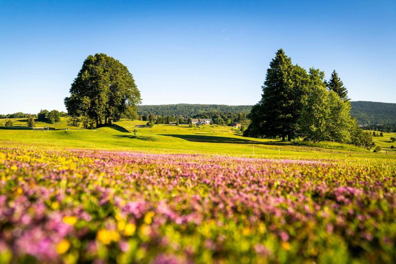 Domaine Du Mont-Saint-Jean Hotel Les Rousses Kültér fotó